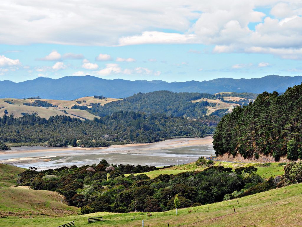 15.coromandel-scaled.jpeg