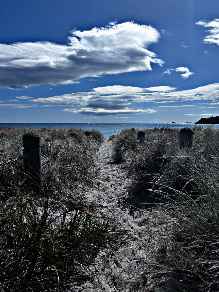 18.Tauranga-scaled.jpeg