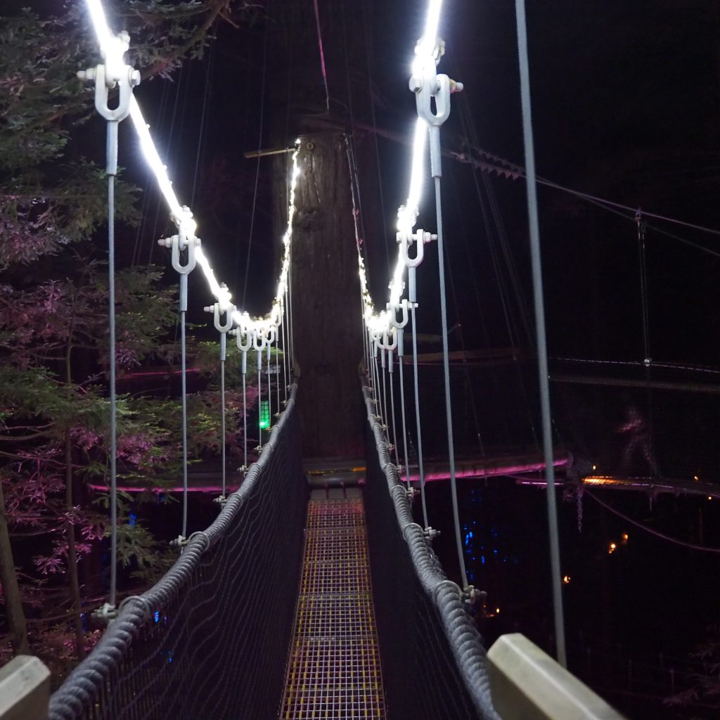 26.treewalks.jpg