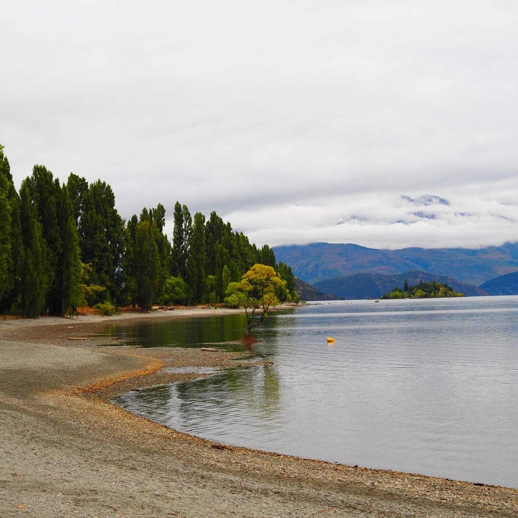86.Wanaka.jpeg